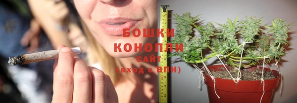 крисы Верея