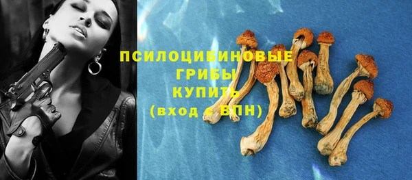 крисы Верея