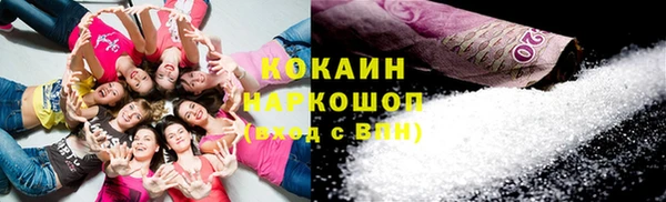 хмурый Арсеньев
