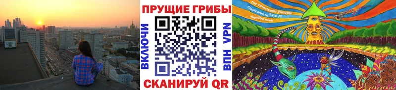 Галлюциногенные грибы мицелий  даркнет сайт  blacksprut tor  Вольск 